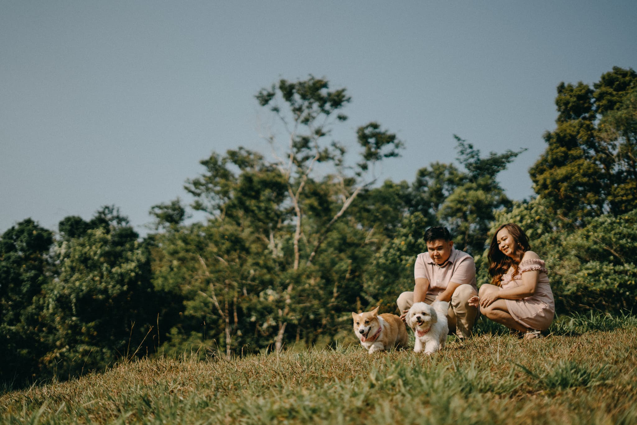 On the hillside with our dogs